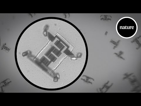 March of the microscopic robots