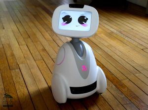 Buddy Robot